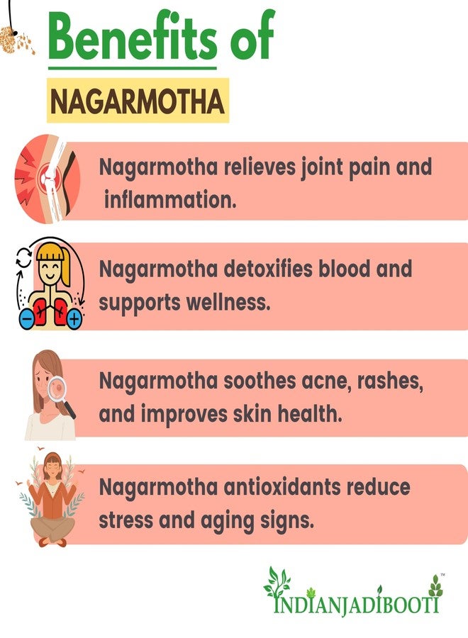 IndianJadiBooti Nagarmotha | Mustak - Cyperus Rotundus Rhizome - Nut Sedge Root - Tunga Gaddalu (100 Grams) - Image 3